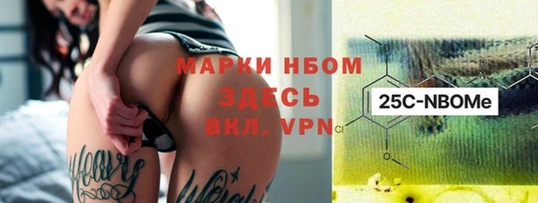хмурый Белокуриха