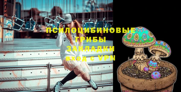 соль ск Навашино