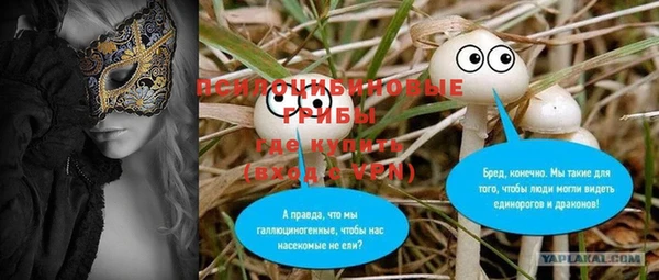 соль ск Навашино