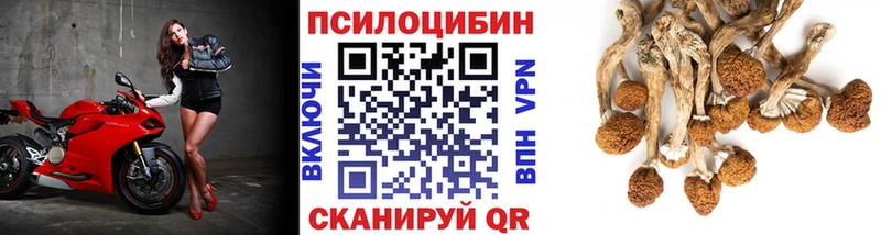 Псилоцибиновые грибы MAGIC MUSHROOMS  Шелехов 